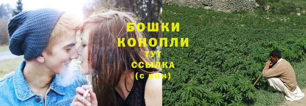 PSILOCYBIN Архангельск