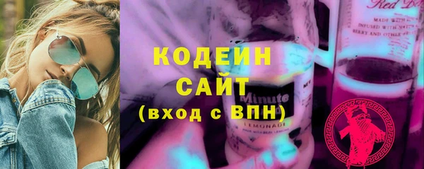 шишки Нижний Тагил