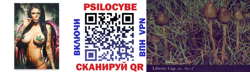Псилоцибиновые грибы мицелий  цены наркотик  Ярославль 