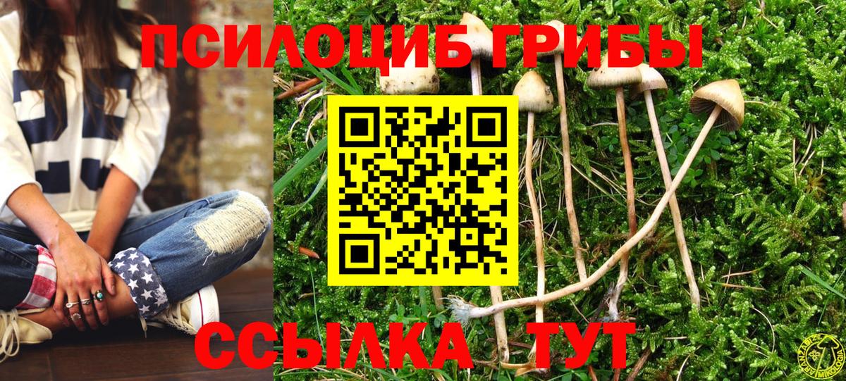 Ярославль  Псилоцибиновые грибы Magic Shrooms  Вход с VPN 