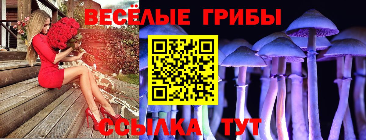 Псилоцибиновые грибы Ярославль