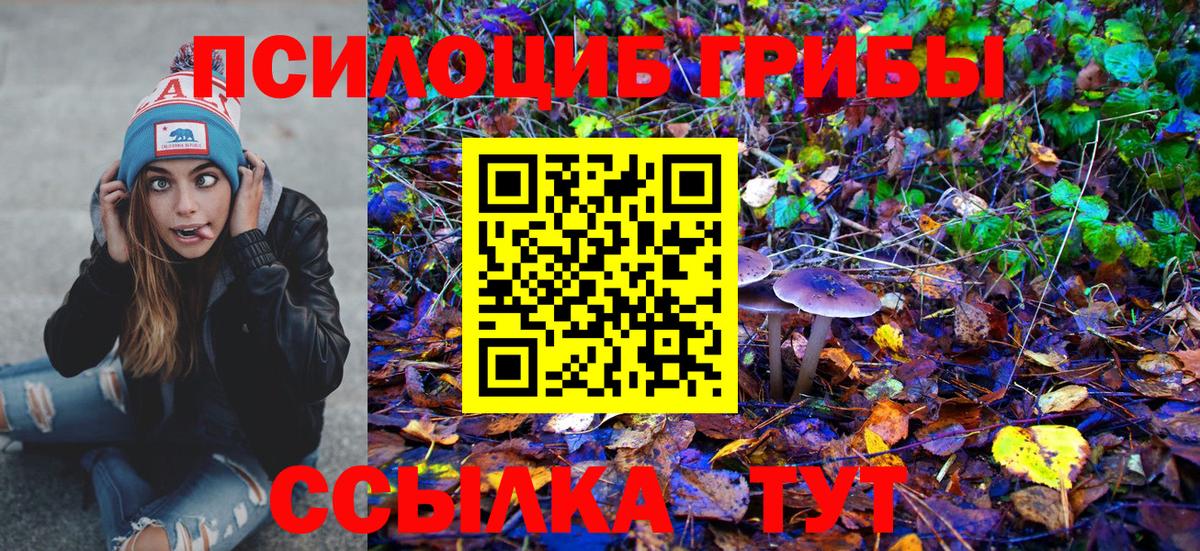 Галлюциногенные грибы мухоморы Ярославль